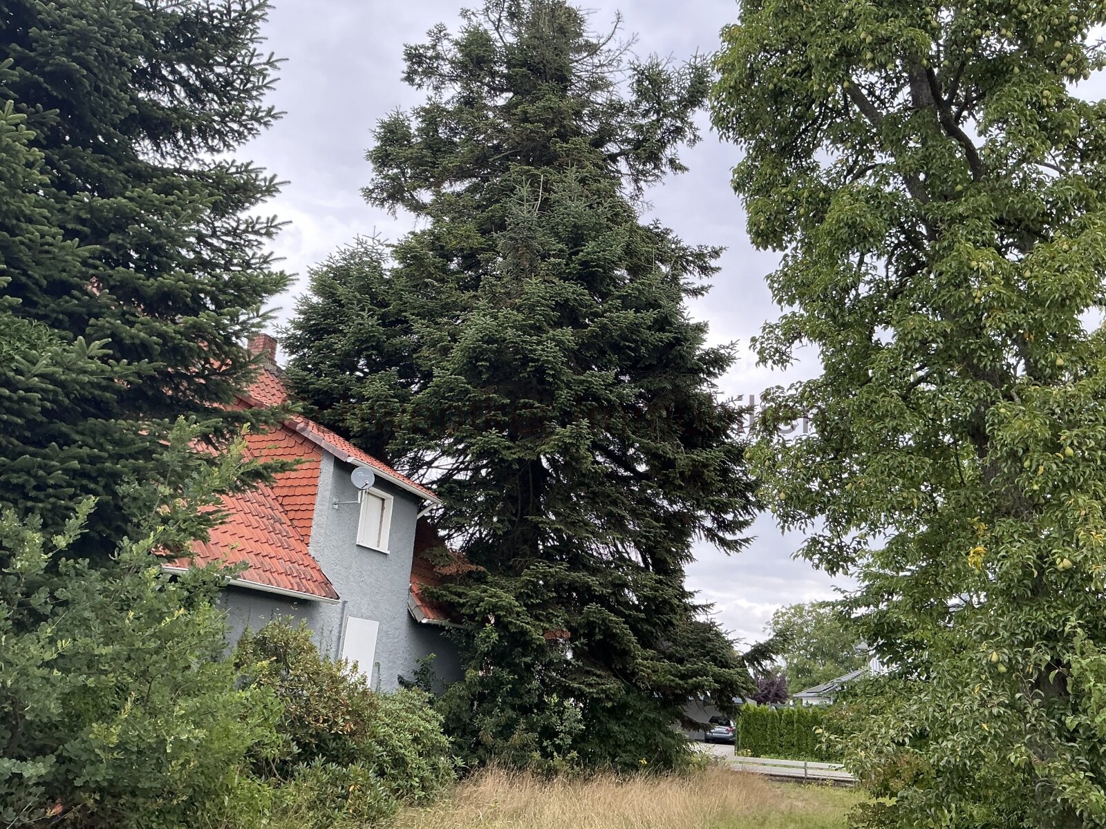 Top Grundstück in Minden Todtenhausen für ein Mehrfamilienhaus oder Einfamilienhaus