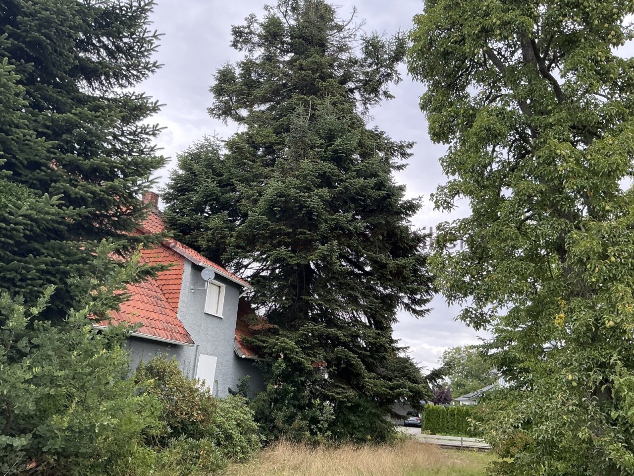 Grundstücksfoto